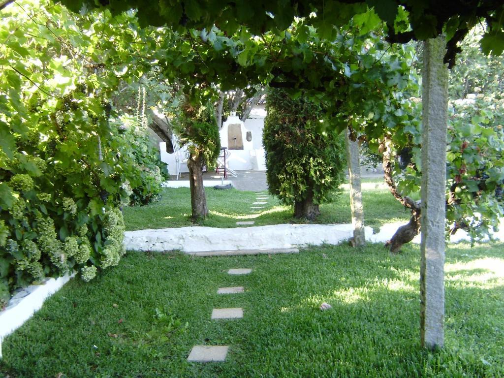 Turimenha Pension Marvão Buitenkant foto